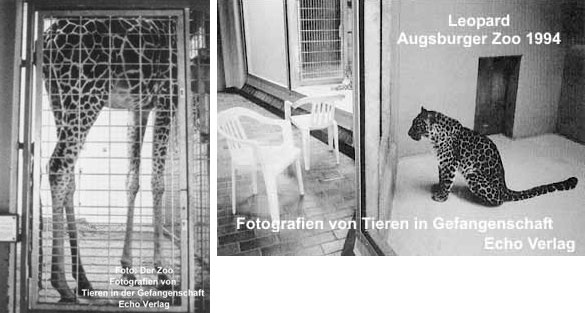 Ausgestellt