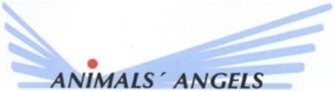 http://www.animals-angels.de/
