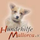http://www.hundehilfe-mallorca.de/